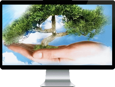 web designing